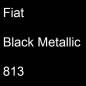 Preview: Fiat, Black Metallic, 813.